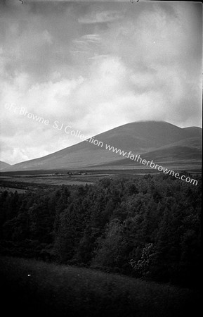 MELLERAY WOODS & KNOCKMEALDOWN